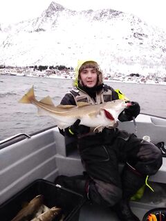 Вернулся в СПб и думаю о скрее