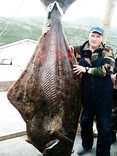 Норвегия коротко и по делу