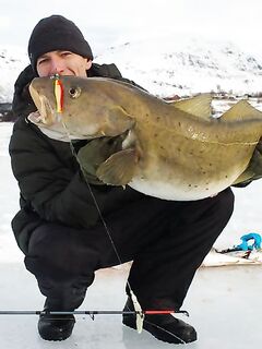 Норвегия, берег и рельеф для рыбалки с гальки