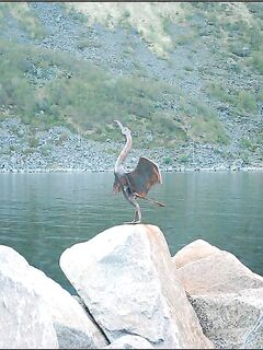 Сенья, Gryllefjord в Норвегии: шторм, пирс, ящики трески и сорванный палтус