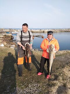 Норвегия, короткая отметка о поездке