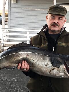 Торсваг - неделя на море с трофеями до 20 кг