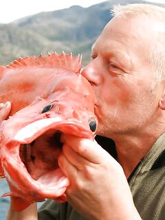 Соройя без ссылок: короткий отчёт о недавней поездке