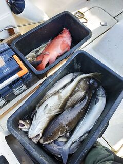 Норвегия — «как-то так», без подробностей