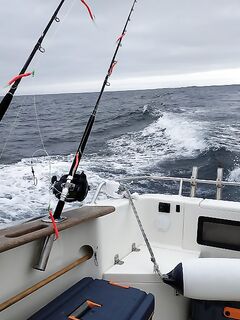 Норвегия и лебёдка: «вручную я бы сутки мотал»