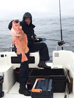 Вес и всё: 7 кг 600 г — короткая отметка из Норвегии