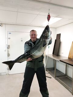 Последний день в Норвегии: скумбрия из сайды и окунь молчит