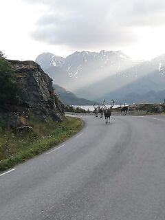 Сёрёйя в Норвегии - палтус на живца и морская рыбалка по плану