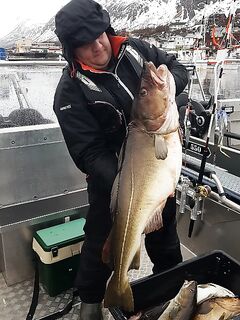 Сенья, Гриллефьорд и скреи в Норвегии, неделя морской рыбалки глазами команды