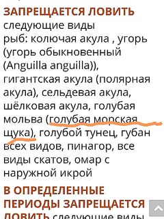 Норвегия, загадочная «голубая щука»: подскажите вид?