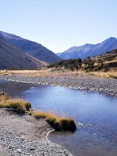 Новая Зеландия: горная форель на 9 кг и пара поменьше