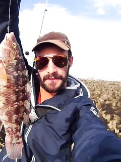 Сарго отпустил в Португалии, жду сибаса или дорадку