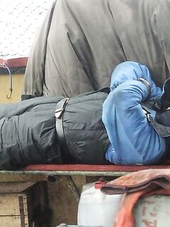 Торпедные шахты у залива на п-ове Рыбачий, нерпы и утки