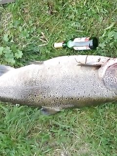 Стокгольм севернее от основной точки