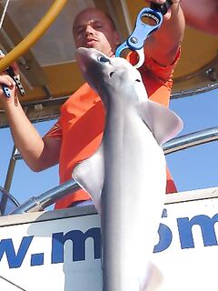 Алания - морская рыбалка и трофеи на фото