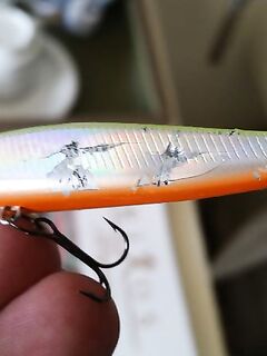 Текирова, дети и берег воблеры и курица