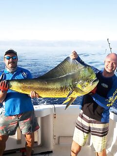 Трофейная махи махи и морская рыбалка в Турции 20 кг