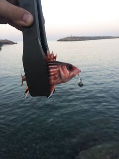 Алания на рассвете: рыбалка в порту и час по силаго