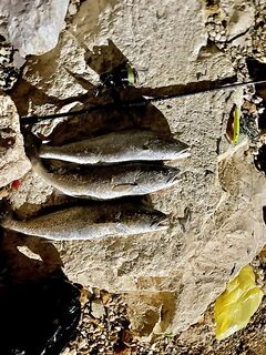 Мерсин–Алания: комплект, цвета и свет