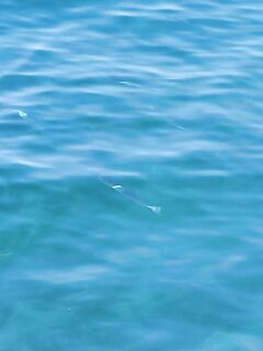 Бодрум: место нашёл, пойду утром