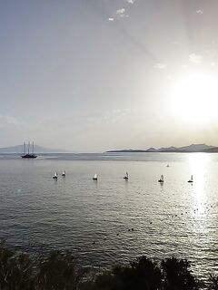 Алания: сарган ушёл, барракуда отметилась