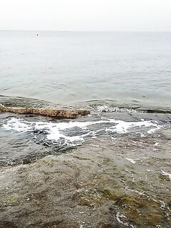 Алания: хлеб, ракушки и первый улов