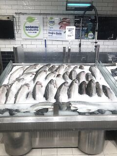 Алания: место сменили, рыба нашлась