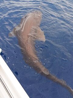 Алания: шторм до трёх метров