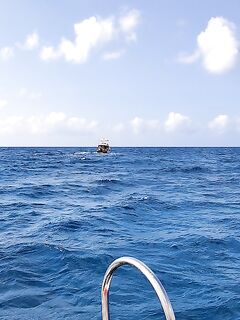 Алания: фугу по волне и снаряга под качку