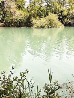 Алара Чай: сазан плещет, поклёвок нет