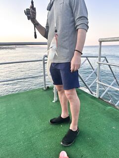 Алания: морские волки у берега