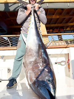 Измир, день 2: 150 кг, 2.05 м и ужин у шефа