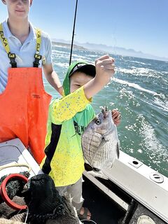 Кейптаун: жёлтохвосты, риф и капитан Донован