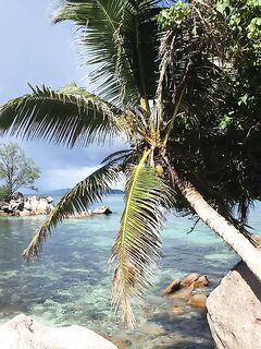 Сейшелы май: берег, лобстеры и гриль