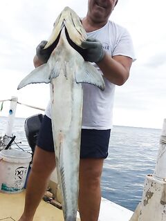 Сиануквиль: Koh Tang в апреле 2022