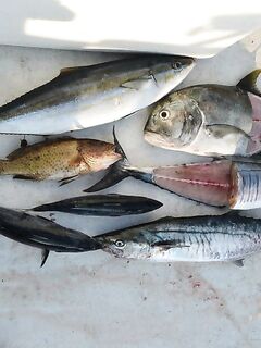 Пхукет: попперы по GT, четыре взяли