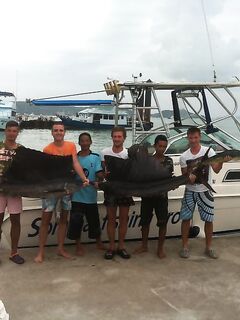 Парусник держит марку, один ушёл