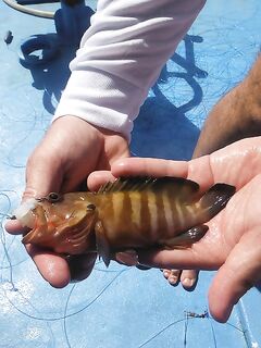 Пхукет: опыт поиска и сравнения