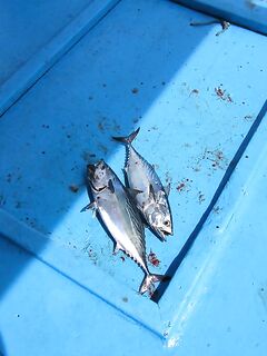 Пхукет бюджет: мелко и немного