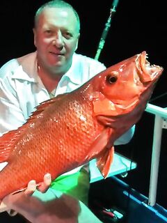 Симиланы 19-22: снапперы, GT и глубокие груперы