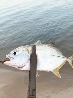 Пхукет: мост с малышами, Найтон с металлом