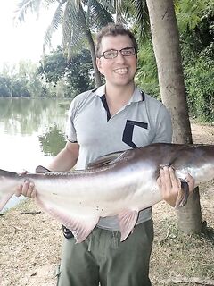 Чиангмай: платник 15 км, закидушка