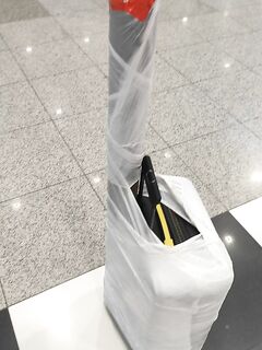 Перевозка удилищ: опыт Цейлон и новое правило