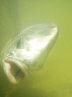 Пермит в Мексике: готовлюсь к следующему старту