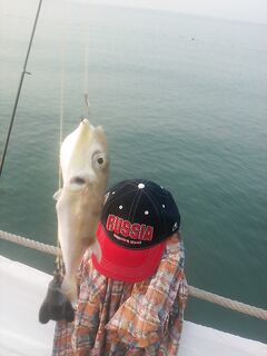 Белек: повтор фото