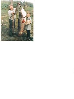 Эфиопия 1971: нильский окунь 57 кг