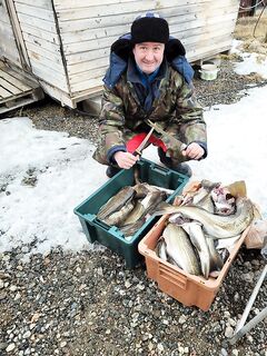 Ура-губа: треска по ящикам