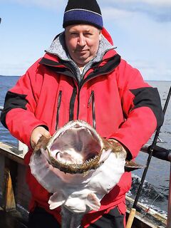 Норвегия, Хитра: вернулись почти без рыбалки