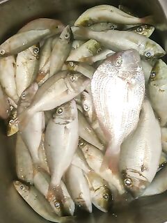 Хургада: план на май и чем кормить