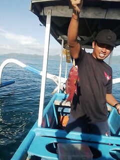 Групер на мели: самодур и троллинг на Бали